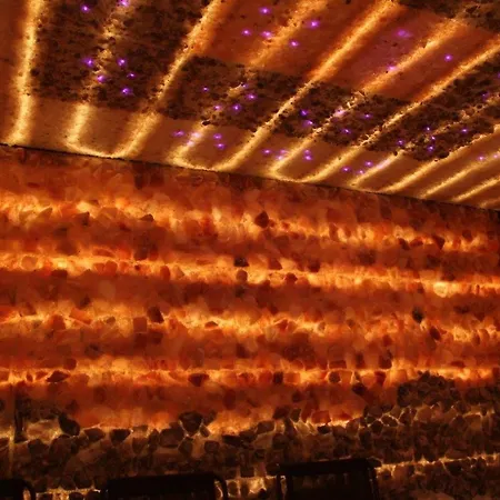 Pajo I -rezydencja Tatry--grota Solna--taras--garaz Podziemny דירה זקופאנה