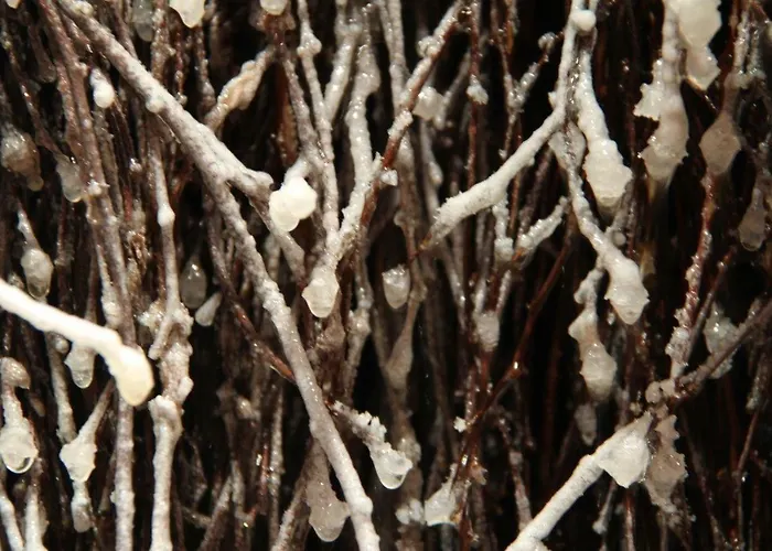 דירה Pajo I -rezydencja Tatry--grota Solna--taras--garaz Podziemny *